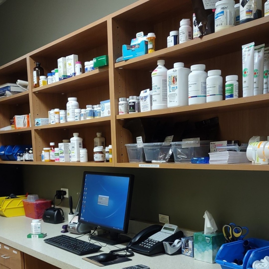 Pharmacy shelves with medication